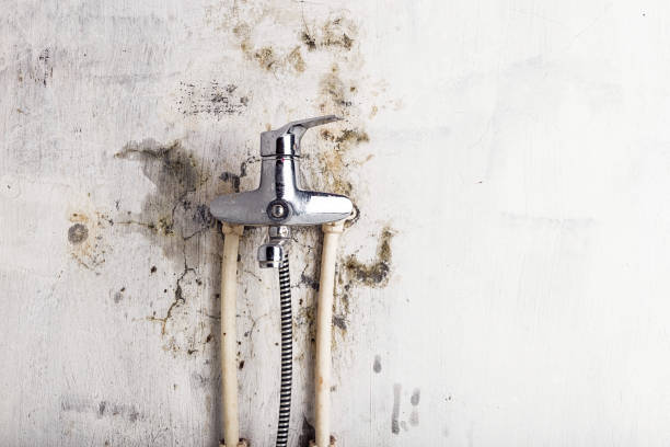 Best Residential Mold Removal  in Eielson Af, AK