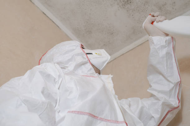 Best Crawl Space Mold Removal  in Eielson Af, AK