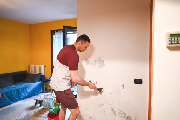 Best Certified Mold Removal  in Eielson Af, AK